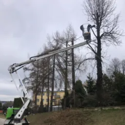 Pracownik w koszu podnośnika koszowego przycina gałęzie wysokiego drzewa. W tle budynek mieszkalny i stos ściętych gałęzi. Praca wysokościowa w pochmurny dzień.