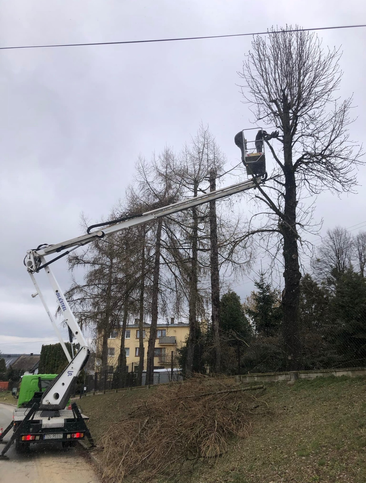 Wycinka drzew z podnosnika