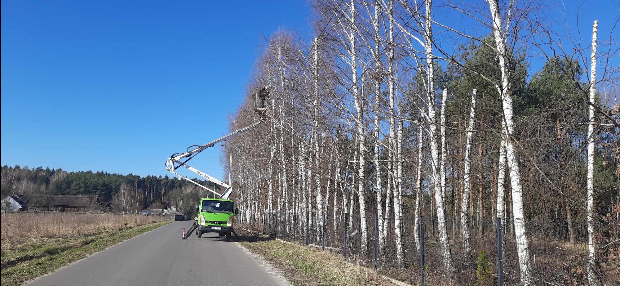 Wycinka brzozy z podnosnika