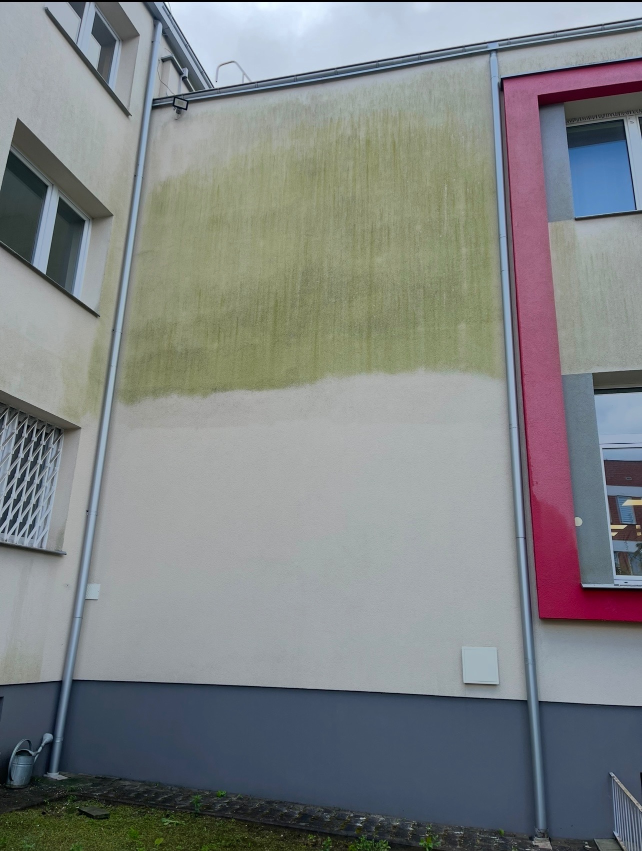 Częściowo oczyszczona elewacja budynku z widocznym zielonym nalotem i czystą powierzchnią, ukazująca efekt mycia. Widoczne rynny i okna.