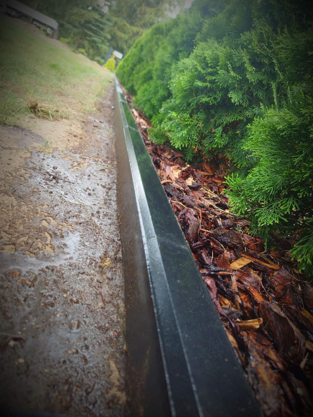 Ukośne ujęcie czarnej obrzeża trawnika oddzielającego mokrą, błotnistą ziemię od kory drzewnej i gęstych, zielonych krzewów.