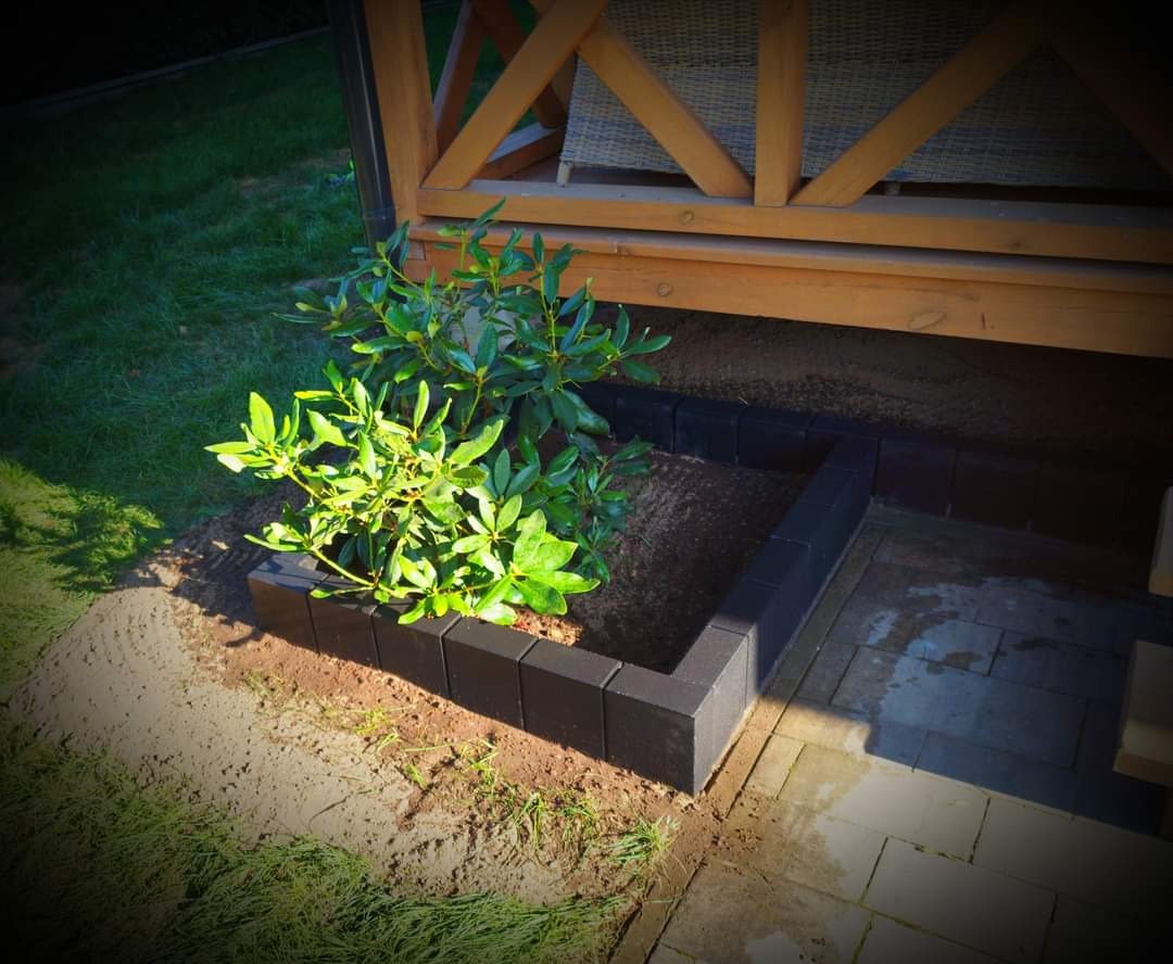 Kwadratowa rabata z ciemnej kostki brukowej otaczająca zielony krzew, przylegająca do drewnianej konstrukcji altany i kostki brukowej na ziemi.