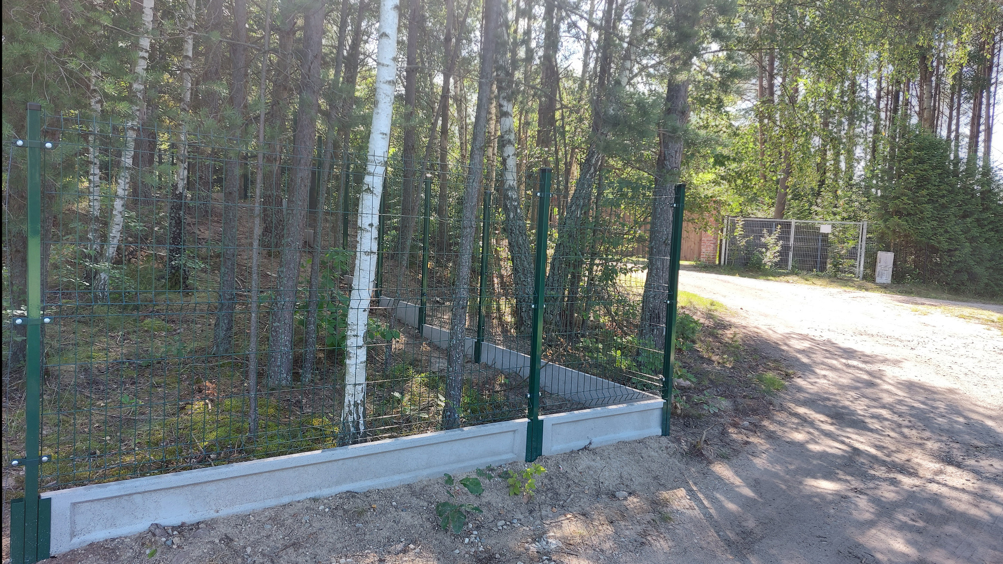 Zielona siatka ogrodzeniowa z podmurówką betonową na tle leśnym, widoczne brzozy i drzewa iglaste, brama w oddali.