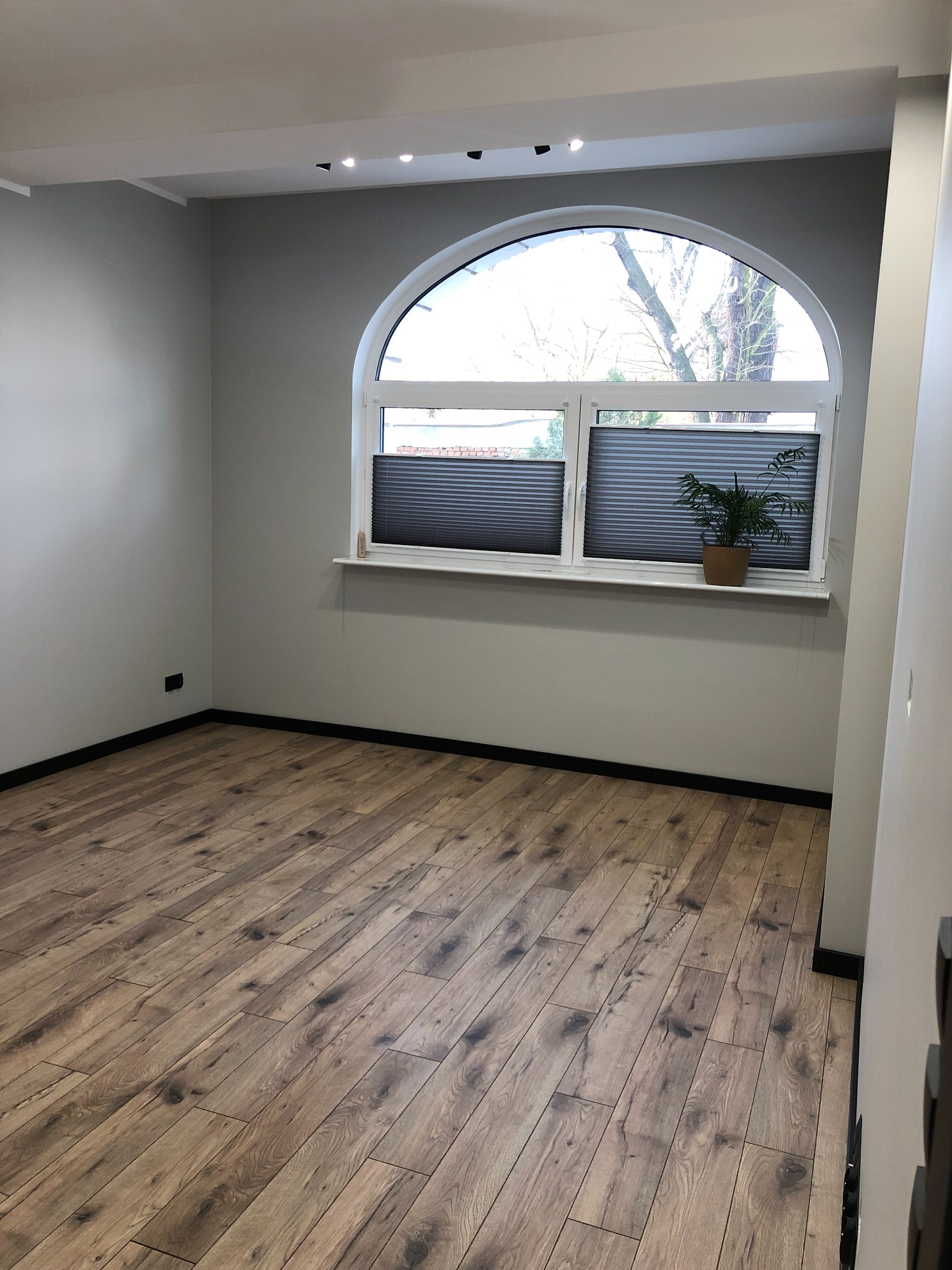Jasne, puste pomieszczenie z panelami podłogowymi w odcieniach brązu, okno łukowe z plisowanymi roletami i rośliną doniczkową na parapecie, ściany pomalowane na szaro.