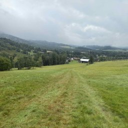 METAL-TRANS Mariusz Błoński - Rozległa, zielona łąka z wyraźną ścieżką, prowadząca w kierunku zabudowań w oddali i zalesionych wzgórz skrytych pod mglistym niebem.