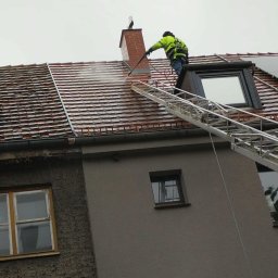 Wycinka drzew Jelcz-Laskowice 4