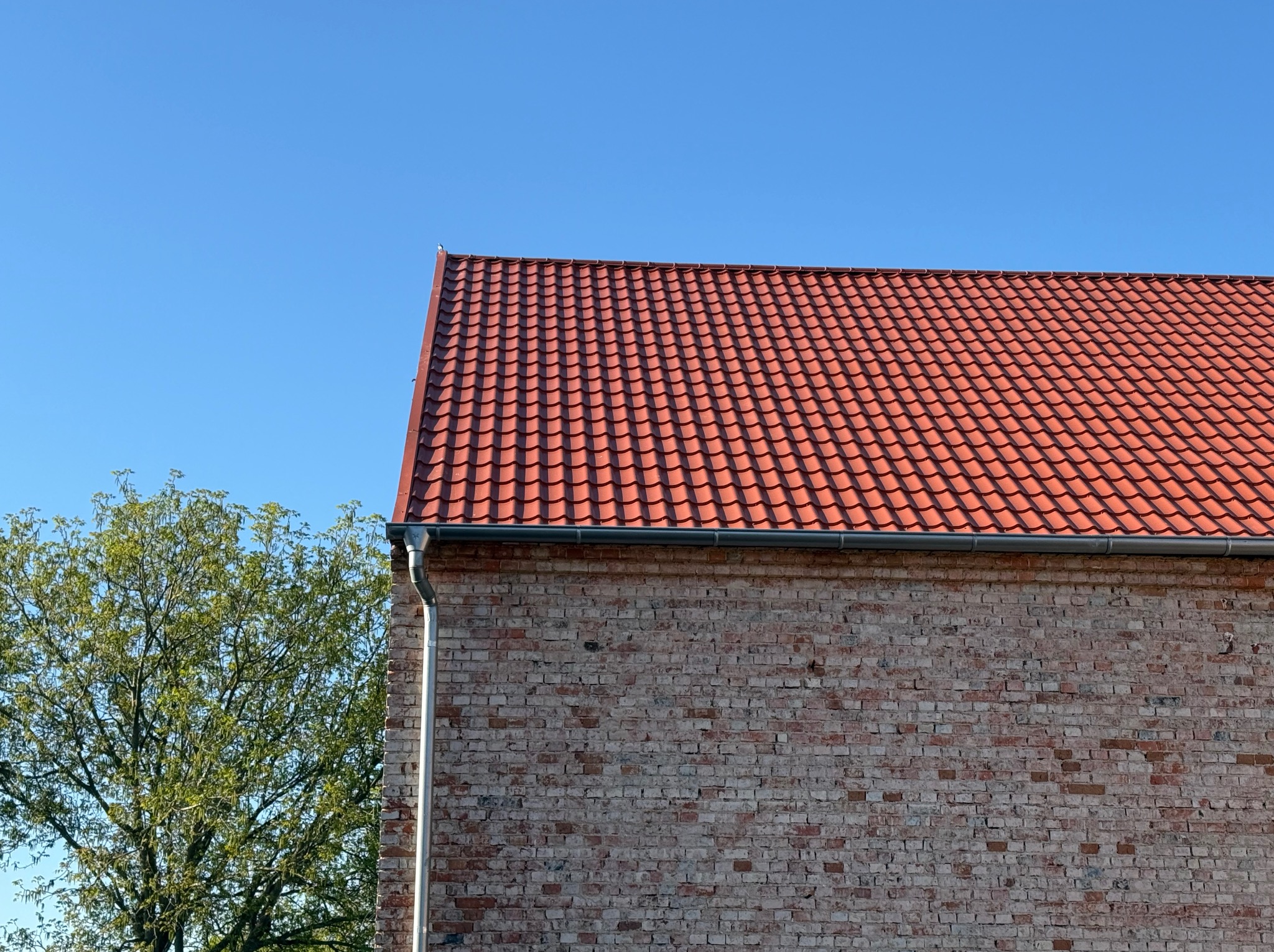 Czerwona dachówka na ceglanym budynku z rynną, obok drzewo liściaste na tle błękitnego nieba. Widok z dołu, podkreślający detale dachu i fakturę cegieł.