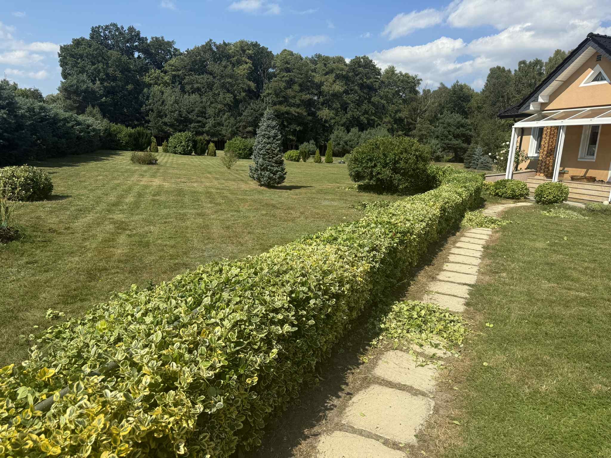 Uporządkowany ogród z równo przyciętym żywopłotem, kostką brukową i świeżo skoszoną trawą. W tle drzewa i fragment domu z jasną elewacją.