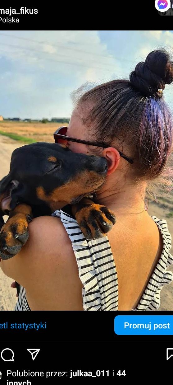 Kobieta w okularach przeciwsłonecznych z upiętymi włosami z fioletowymi pasemkami, trzymająca szczeniaka jamnika na plecach, na tle polnej drogi.