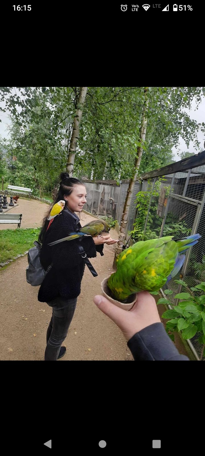 Kobieta karmiąca papugi na zewnątrz, jedna papuga siedzi na jej ramieniu, a inne jedzą z jej rąk i kubka trzymanego przez drugą osobę. W tle drzewa i klatki dla ptaków.