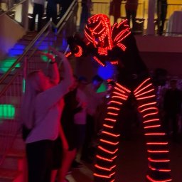 Atrakcja na urodziny, osiemnastke, imprezy okolicznosciowe - roboty ledowe Xenobots