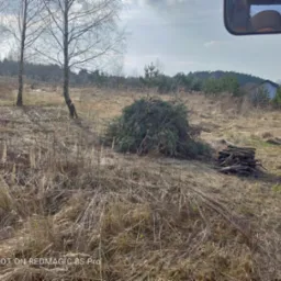 Kupa gałęzi i ściętych pni drzew leżąca na wyschniętej trawie, widok z kabiny pojazdu rolniczego, w tle las i zabudowania.