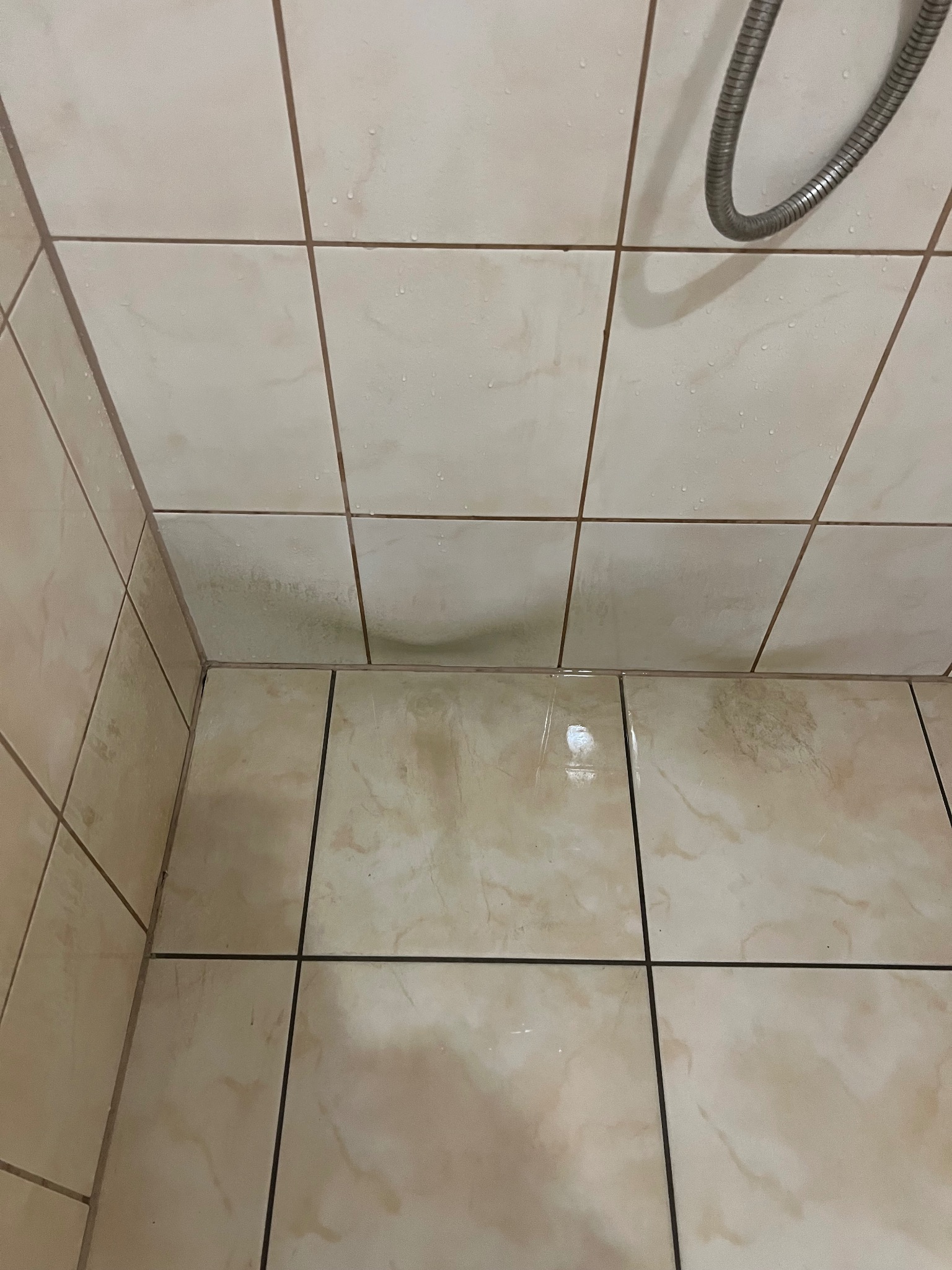 Brudne, beżowe płytki w kabinie prysznicowej z widocznymi zaciekami i osadami, oraz fragmentem węża prysznicowego w górnym rogu.