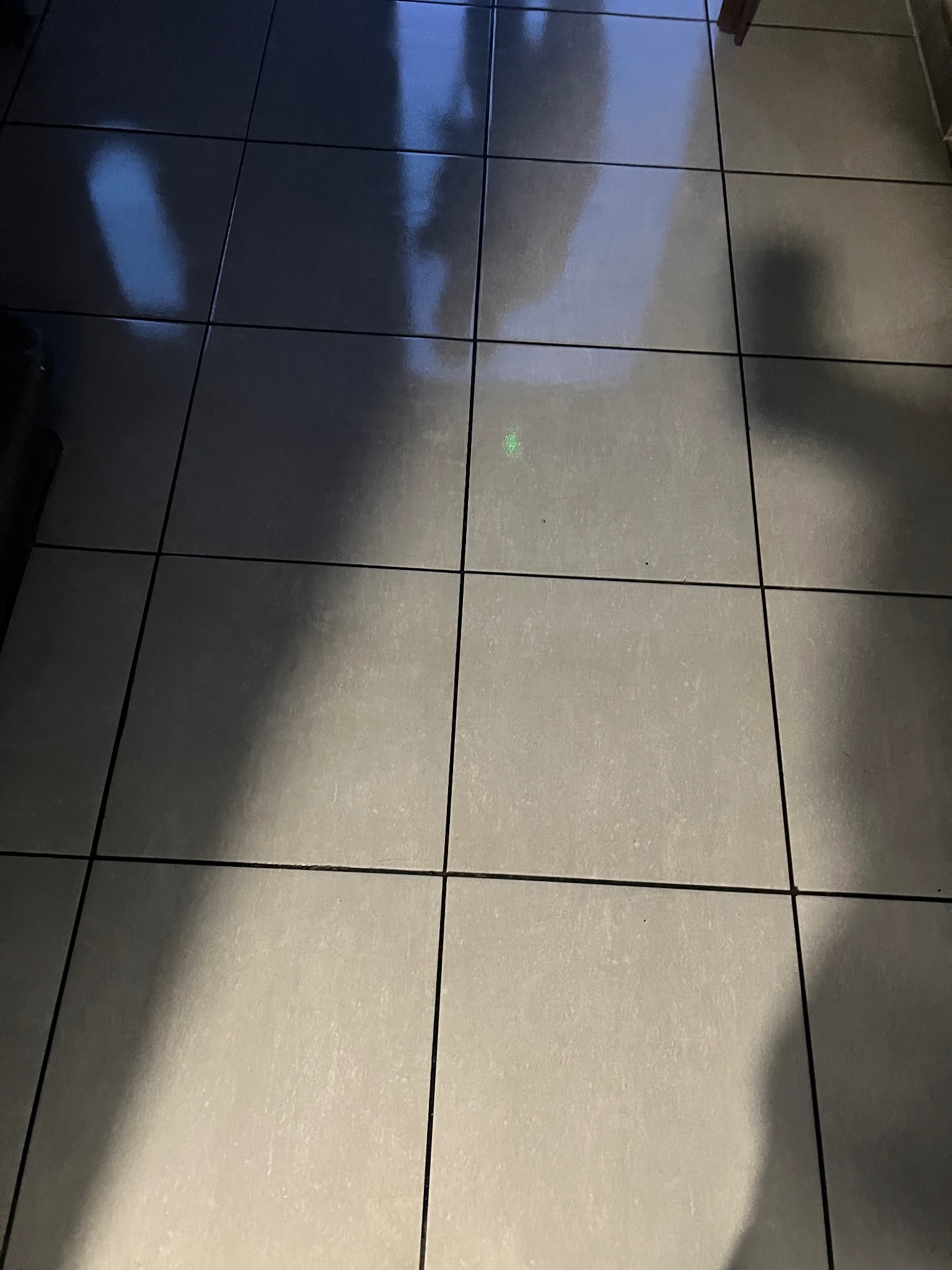 Błyszczące, jasnoszare płytki podłogowe z ciemnymi fugami, odbijające światło i cień