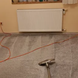 Szary dywan z widocznymi śladami czyszczenia maszyną parową; w tle okno z roślinami doniczkowymi i grzejnik.