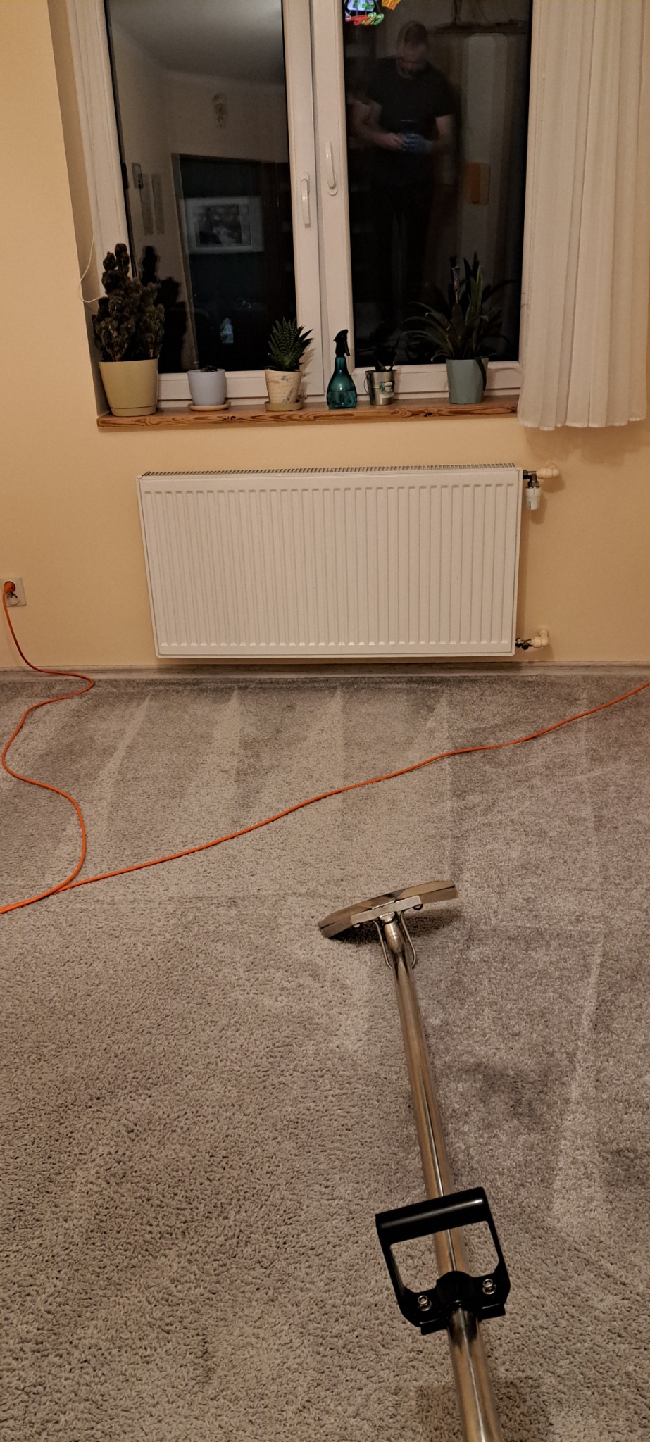 Szary dywan z widocznymi śladami czyszczenia maszyną parową; w tle okno z roślinami doniczkowymi i grzejnik.