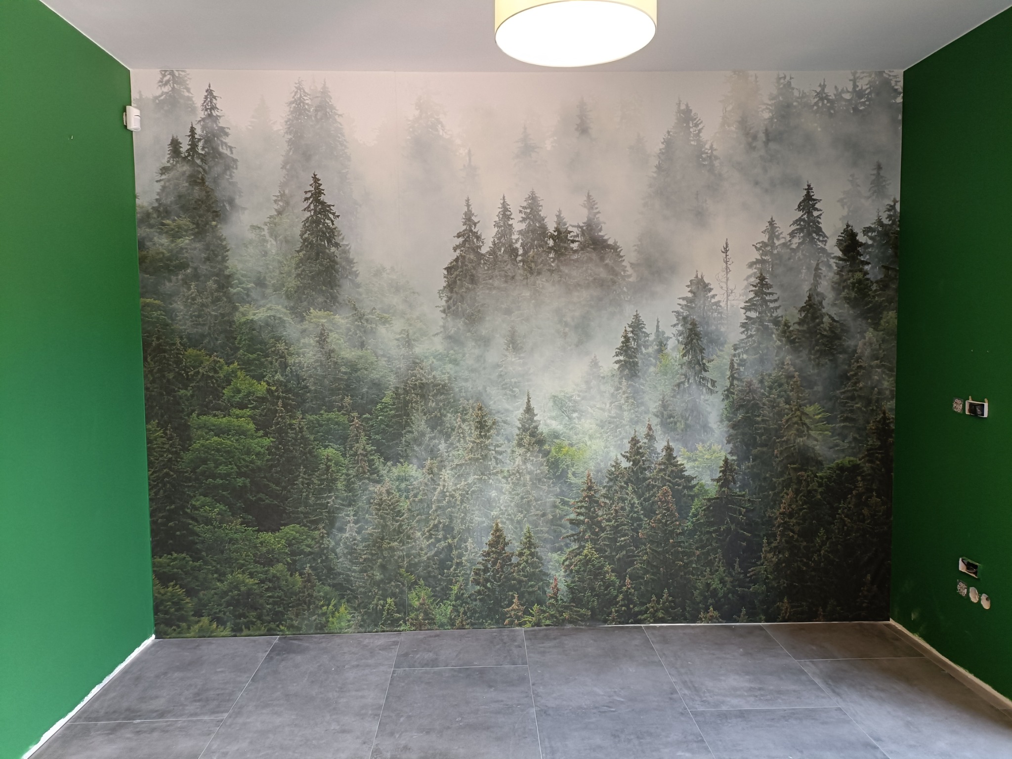 Fototapeta z motywem mglistego lasu iglastego na ścianie, z zielonymi ścianami bocznymi i szarą podłogą z płytek.