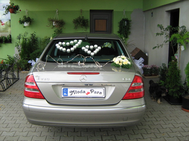 Srebrny Mercedes E220 udekorowany białymi kwiatami i serduszkami na ślub, zaparkowany przed zielonym domem z wiszącymi roślinami i małym psem w pobliżu.