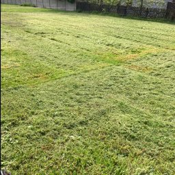 Koszenie trawy Studzienice 3