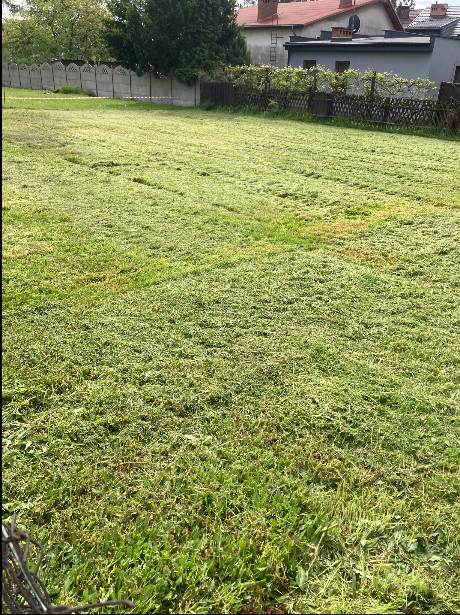 Świeżo skoszone pole trawy z widocznymi śladami po koszeniu, ogrodzone betonowym płotem w tle zabudowa mieszkalna.