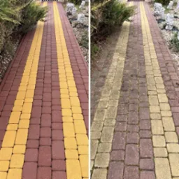 Porównanie kostki brukowej przed i po czyszczeniu: po lewej stronie czysta, z intensywnymi kolorami żółtym i brązowym, po prawej stronie zabrudzona, z wyblakłymi kolorami i widocznym mchem.