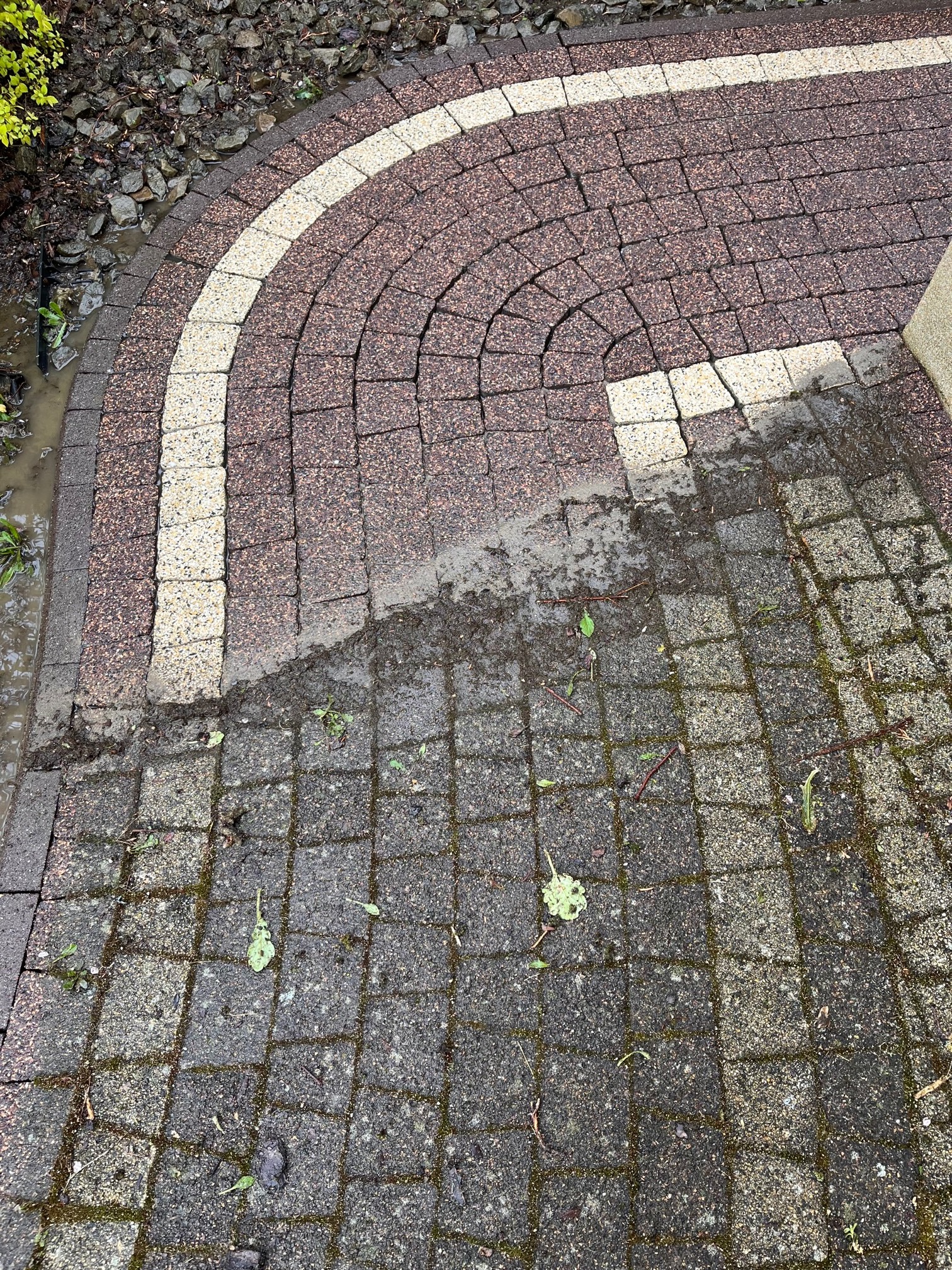 Fragment kostki brukowej przed i po czyszczeniu, widoczna różnica w kolorze i braku zabrudzeń, zarys mokrej powierzchni.