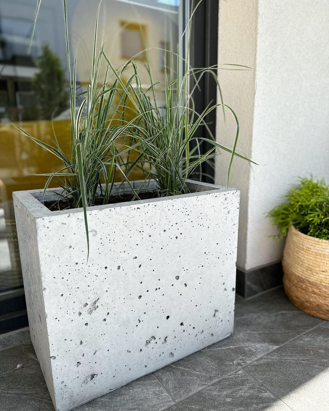 Kwadratowa, betonowa donica z wysokimi trawami ozdobnymi na szarym, płytkowym tarasie, w tle widoczne okno i druga roślina w plecionym koszu.