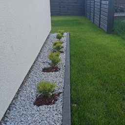 Water Garden - Sadzenie drzew i krzew&oacute;w Gryfino