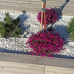 Water Garden - Usługi w ogrodzie Gryfino