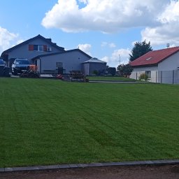 Trawa z rolki Pniewo 4