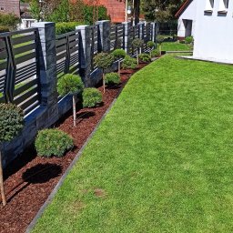 Trawa z rolki Pniewo 3