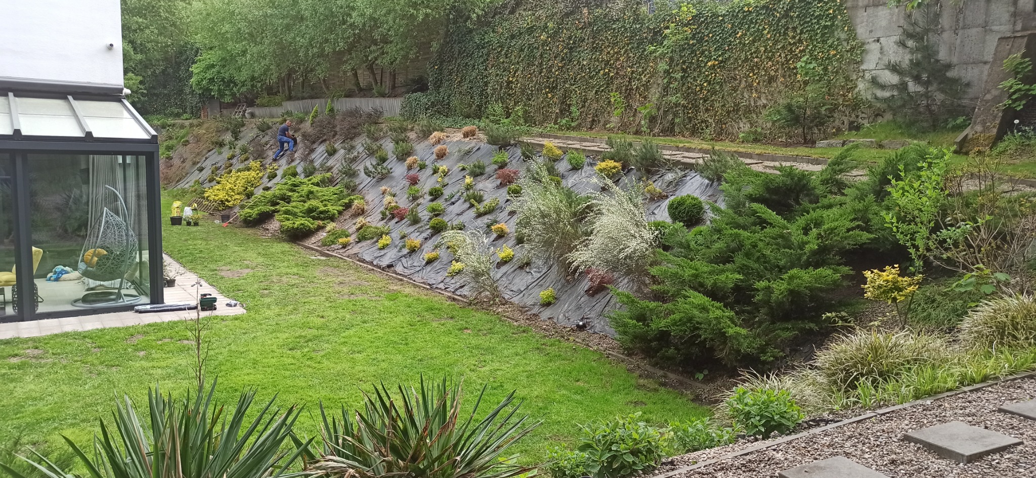 Ukształtowany, zielony ogród na zboczu z różnorodną roślinnością, zabezpieczony czarną agrowłókniną. W tle ściana z bluszczem i pracujący ogrodnik.