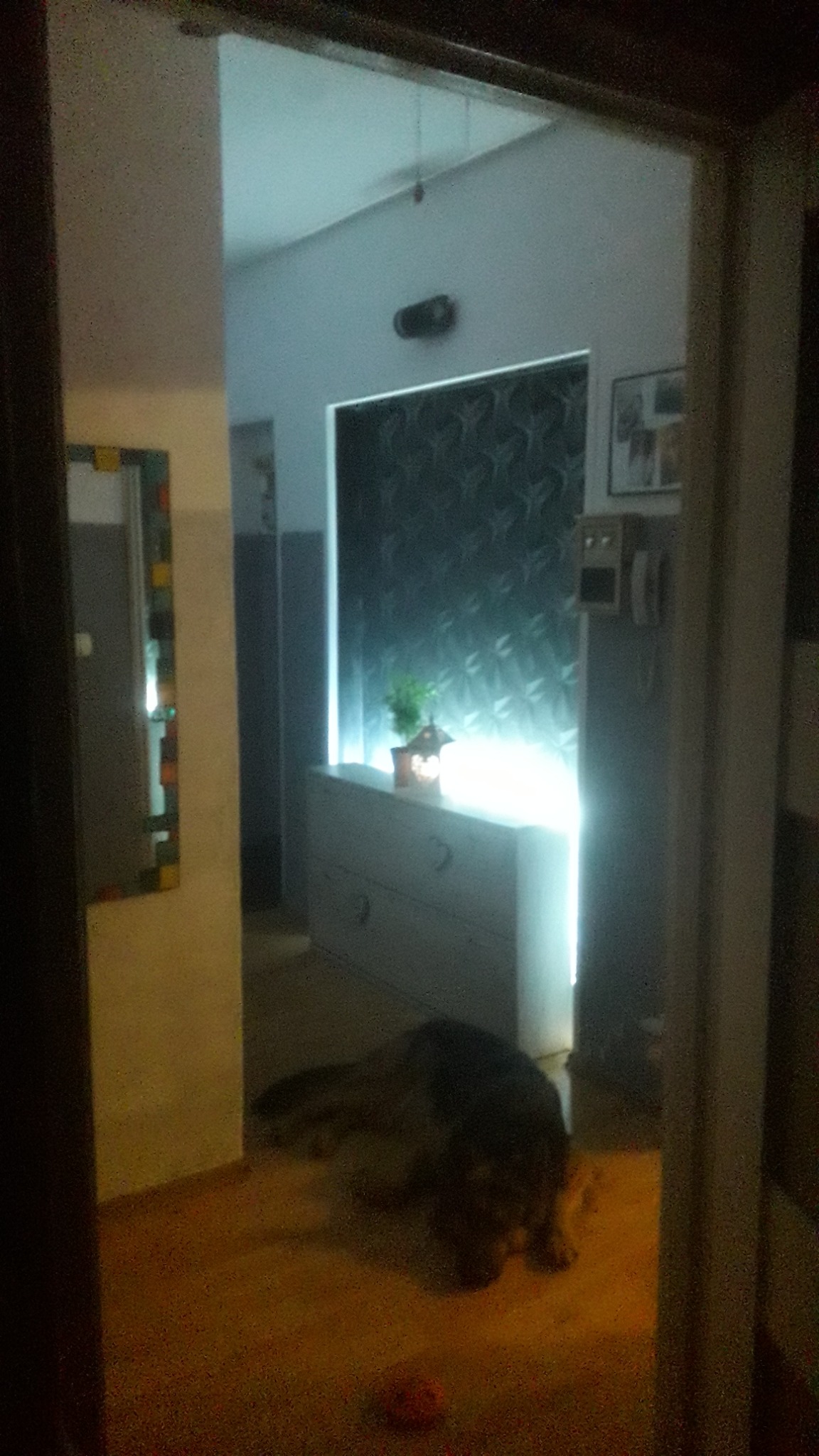 Widok z korytarza do pokoju z podświetloną komodą, wzorzystą tapetą i leżącym psem rasy owczarek niemiecki, widziany przez framugę drzwi.