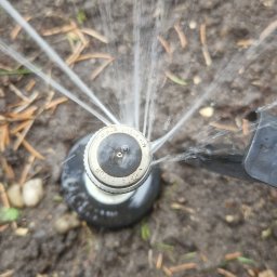 ZieleńPlus - Zraszacz rotacyjny nawadnia brązową ziemię z resztkami suchych igieł i źdźbeł trawy, rozpylając wodę w promieniach.