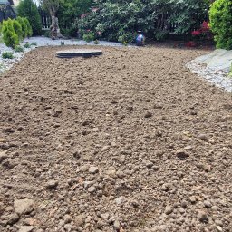 Zakładanie trawnik&oacute;w Opole