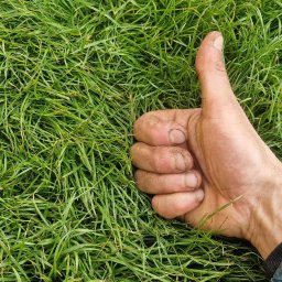 ZieleńPlus - Systemy nawadniania Opole