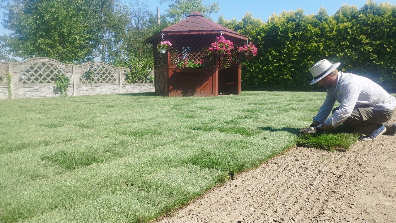 Mężczyzna w kapeluszu układa rolki trawy na przygotowanym gruncie, w tle altana z kwiatami, ogrodzenie i żywopłot.