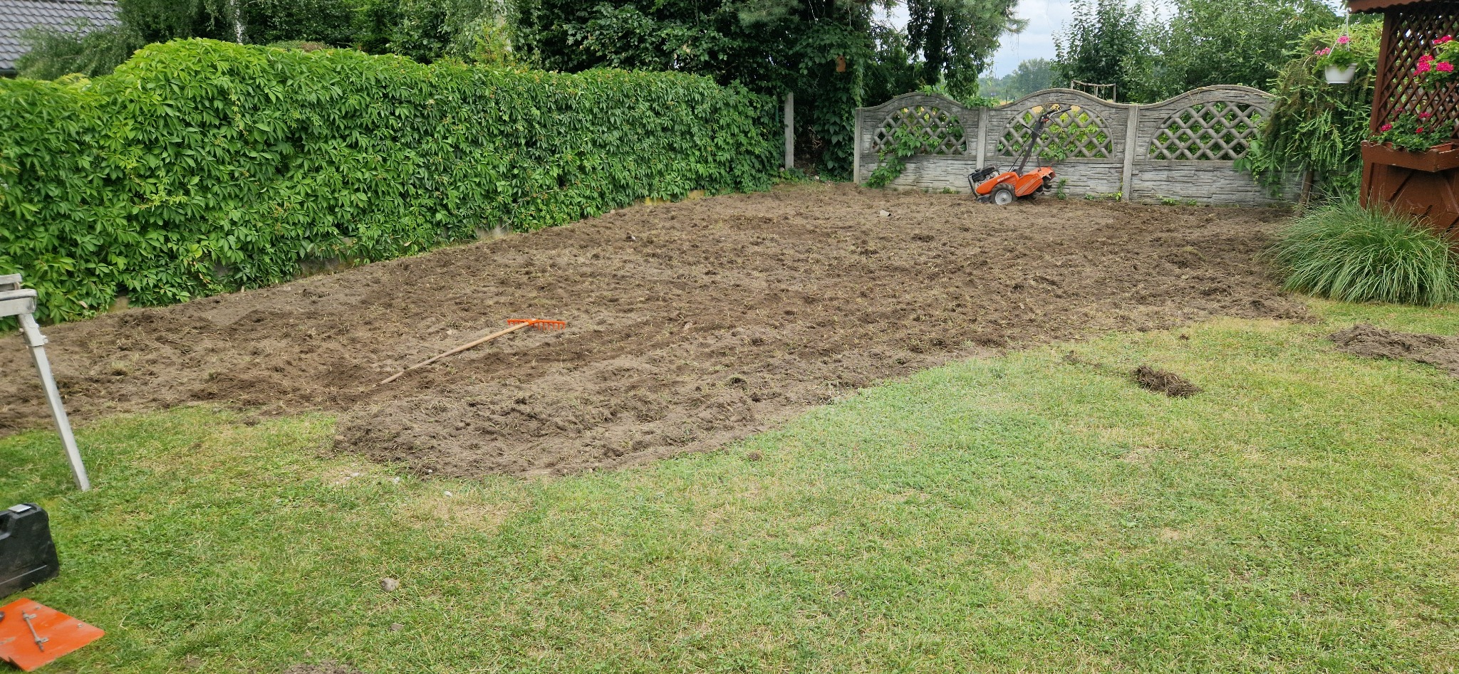 Przygotowany teren pod trawnik z widocznym glebogryzarką i grabiami, w tle żywopłot z bluszczu i ozdobny betonowy płot.