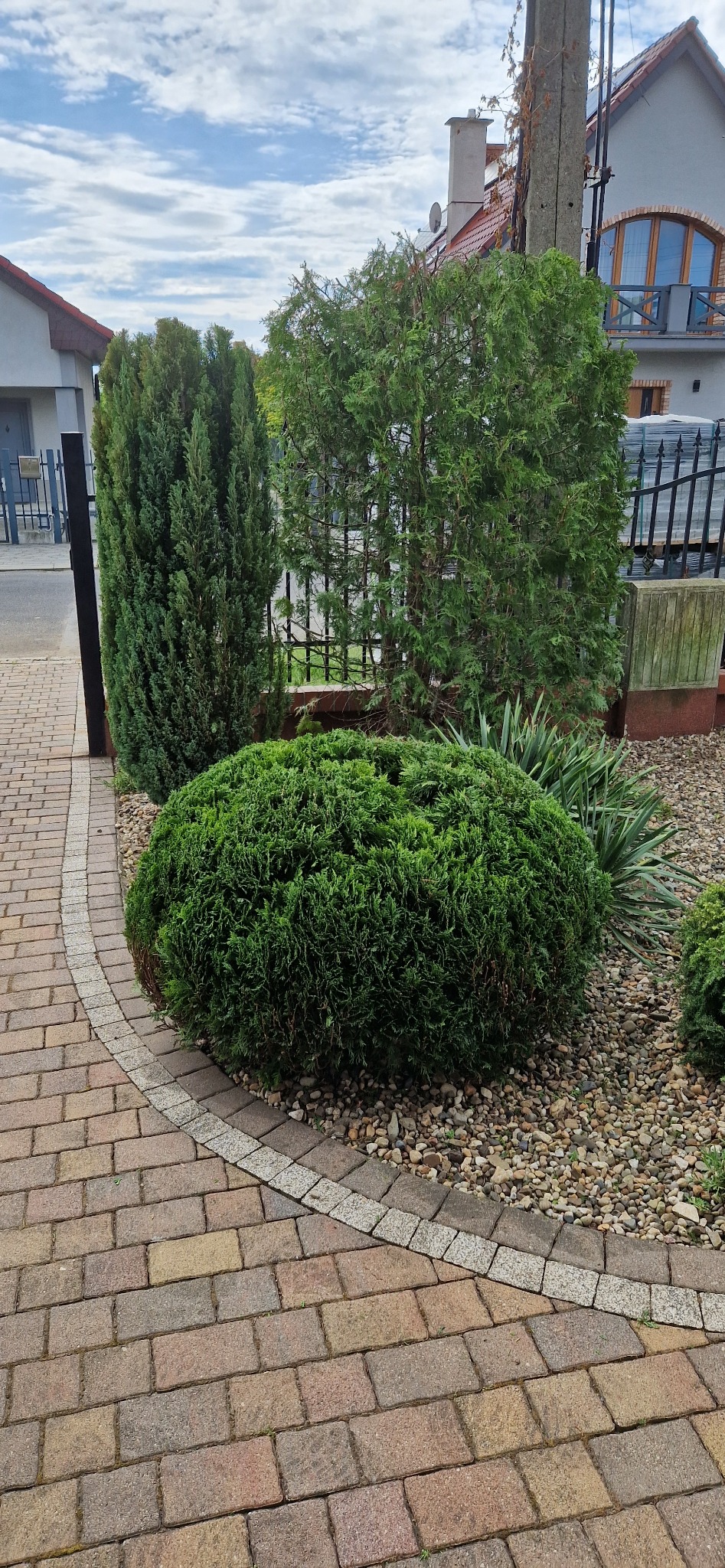 Formowane krzewy iglaste w ogrodzie przydomowym, wysypane drobnymi kamieniami, obok ścieżka z kostki brukowej.
