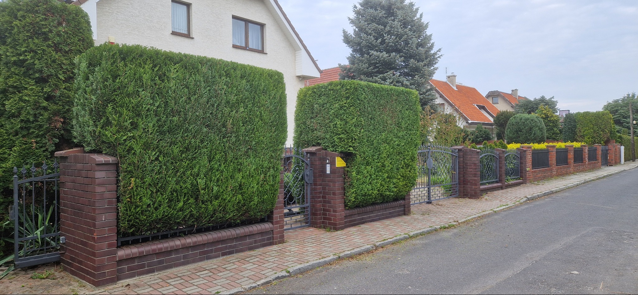 Formowane tuje przy metalowym ogrodzeniu z ceglanymi słupkami, widok na domy z czerwonymi dachami w tle.