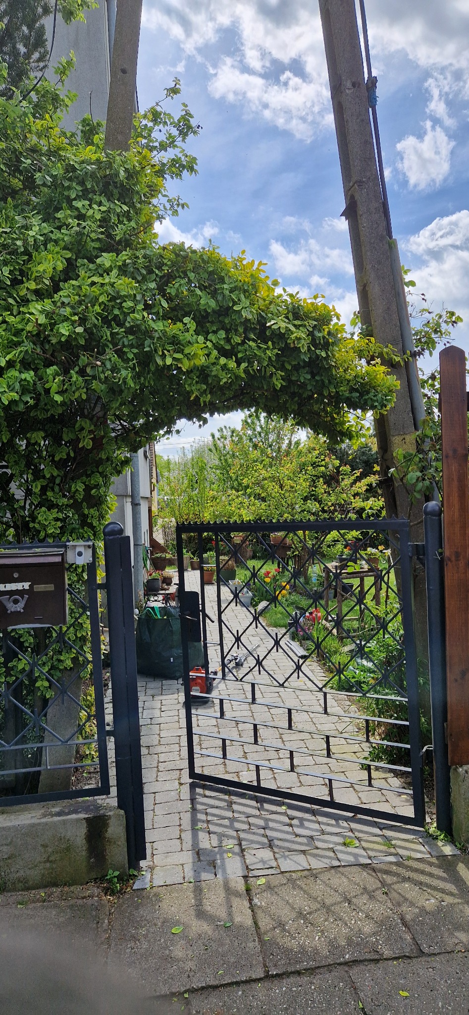 Otwarta metalowa furtka z ozdobnym wzorem rombów, prowadząca do ogrodu z roślinami i ścieżką z kostki brukowej; nad furtką łuk z zieleni, po lewej stronie skrzynka pocztowa, w tle widoczny sprzęt...