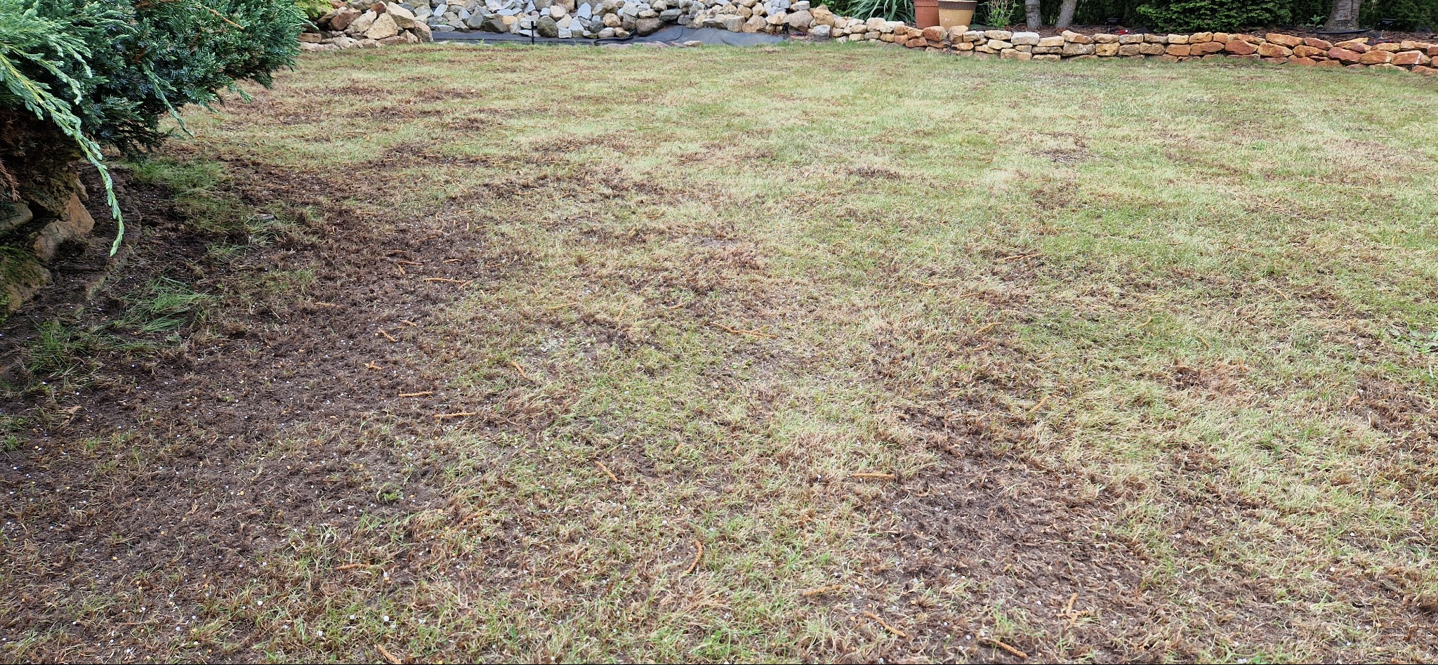 Przygotowany teren pod trawnik, widoczna ziemia zmieszana z resztkami starej trawy, w tle kamienny murek.