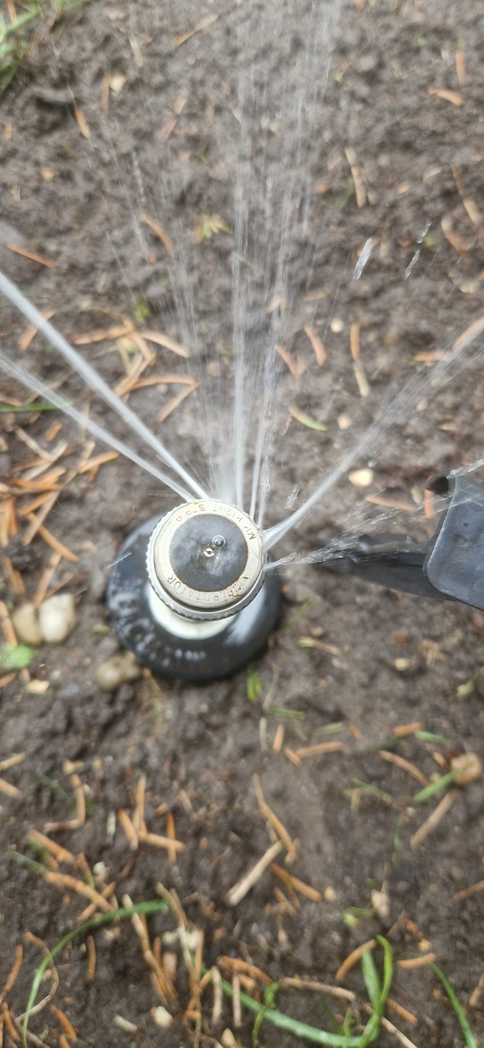 Zraszacz rotacyjny nawadnia brązową ziemię z resztkami suchych igieł i źdźbeł trawy, rozpylając wodę w promieniach.