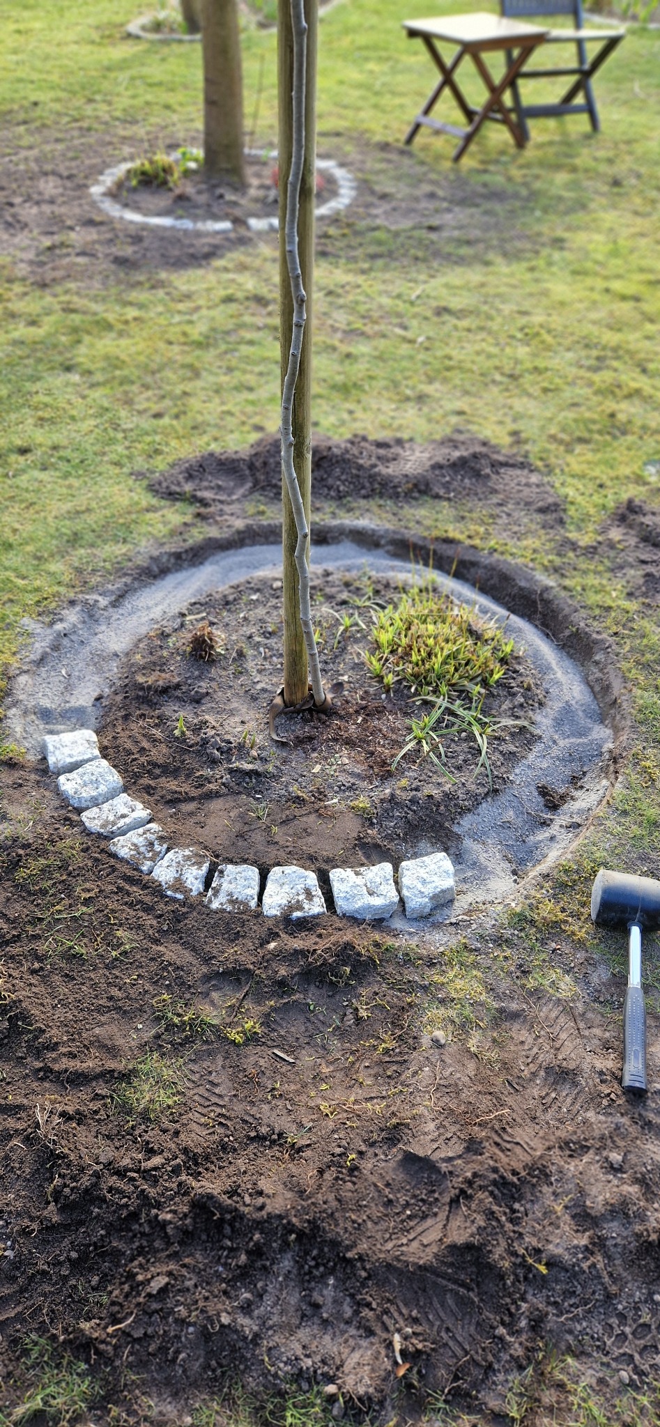 Obrzeże z kostki granitowej układane wokół młodego drzewa, widoczny gumowy młotek, w tle trawnik i stolik ogrodowy.