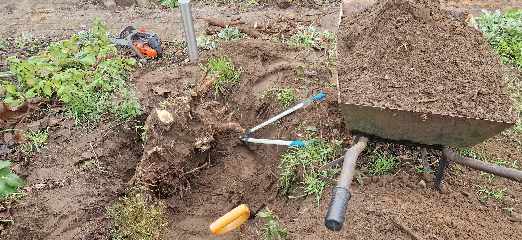 Wykarczowany pień drzewa z widocznymi korzeniami, obok narzędzia ogrodnicze: łopata, sekator i taczka wypełniona ziemią. W tle piła spalinowa.