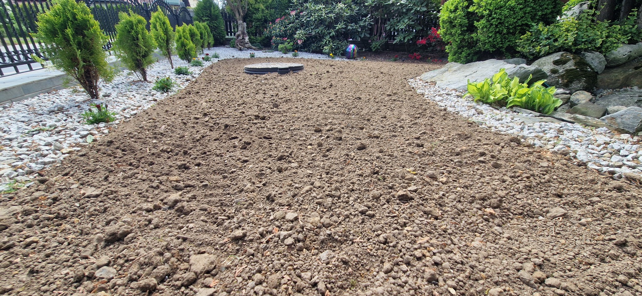 Przygotowany teren pod trawnik z widoczną studzienką kanalizacyjną, obrzeża z białego kamienia, tuje i krzewy w tle. Grunt wyrównany, gotowy do siewu lub położenia trawy z rolki.