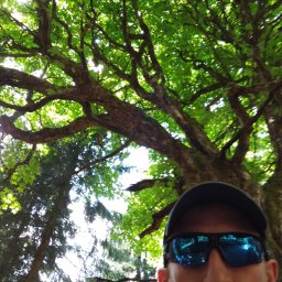 ARBOMAC Usługi ogrodnicze SEBASTIAN MAC - Ścinanie Drzew Gruszczyce