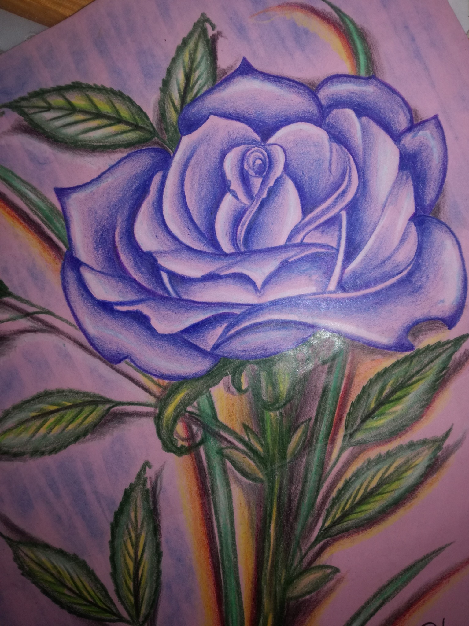 Róża ,kredka blok.