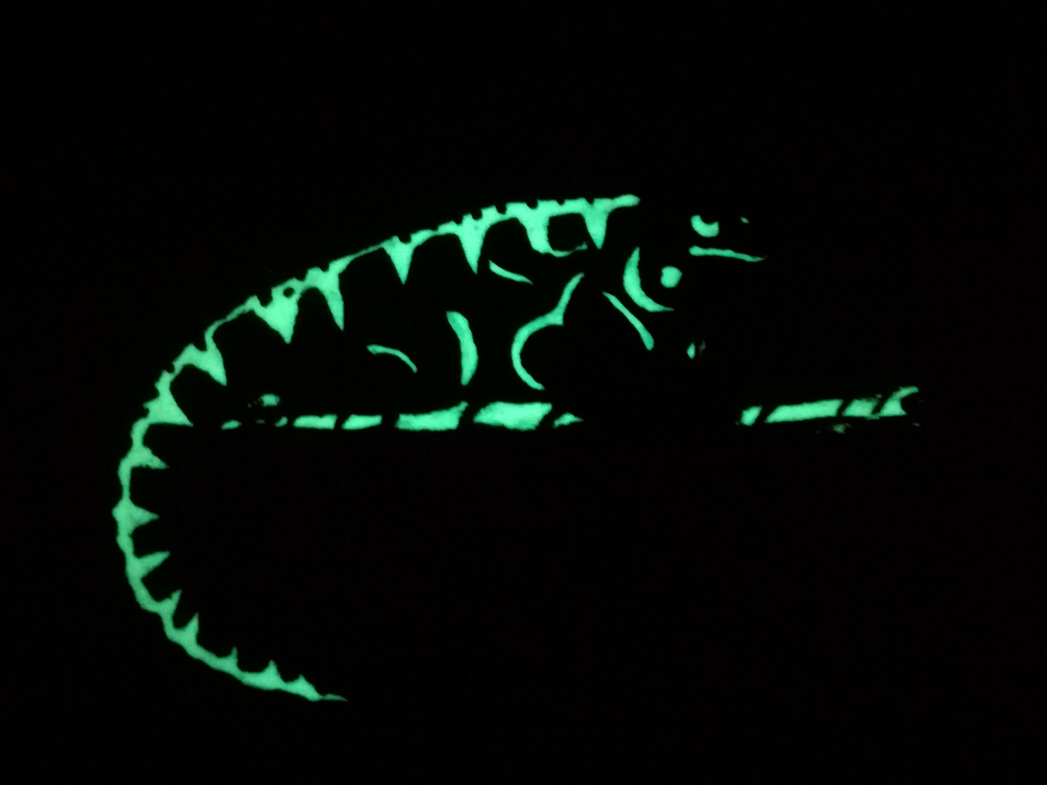 Fotoiluminescęcja . Jaszczur