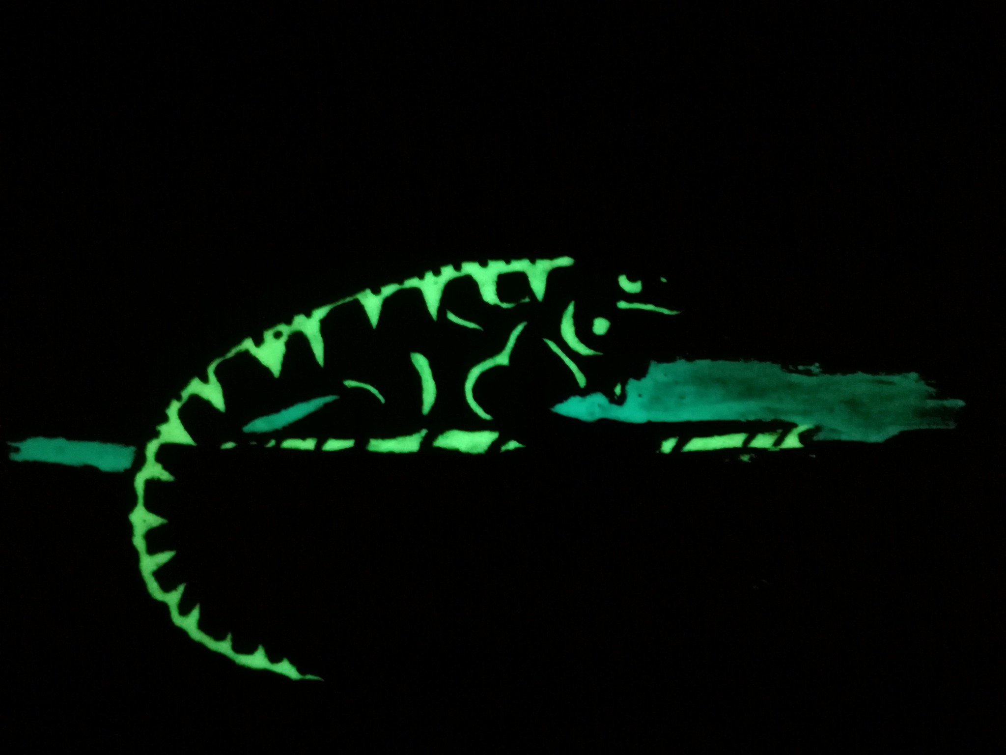 Świecąca na zielono sylwetka jaszczurki na ciemnym tle, prawdopodobnie malowana farbą fluorescencyjną.